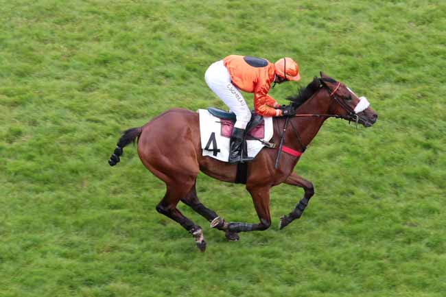 Arrivée quinté pmu PRIX PHARAON à AUTEUIL