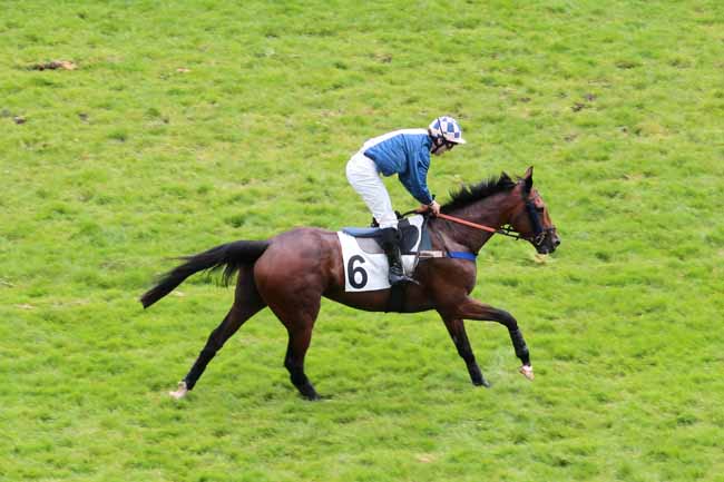 Arrivée quinté pmu PRIX RIGOLETTO à AUTEUIL
