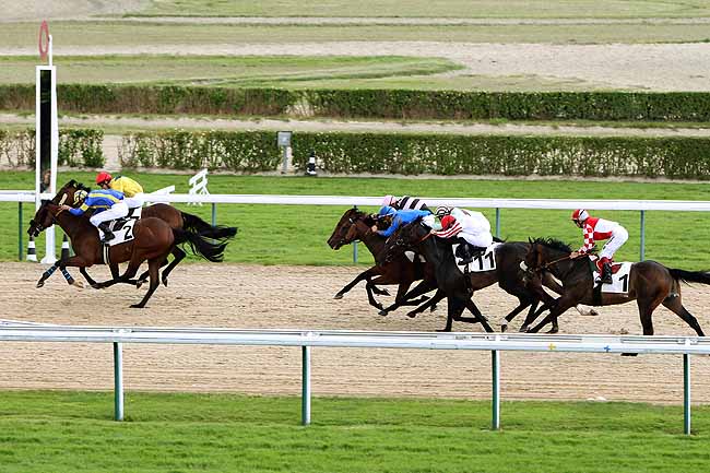 Arrivée quinté pmu PRIX DE L'ELFE à DEAUVILLE