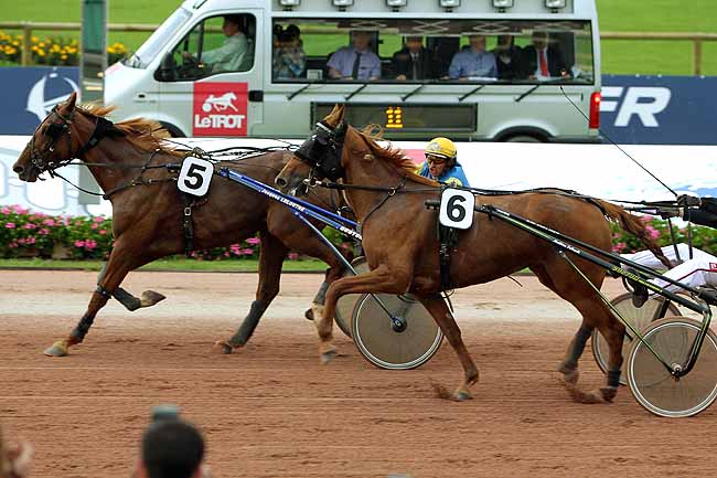 Arrivée quinté pmu PRIX DES FUSCHIAS (GR B) à CABOURG