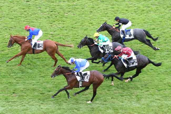 Arrivée quinté pmu PRIX DE LA MINARDIERE à VICHY