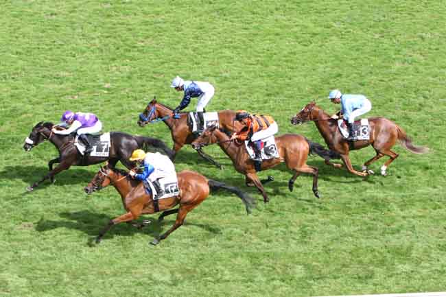 Arrivée quinté pmu PRIX DE MOLLES à VICHY