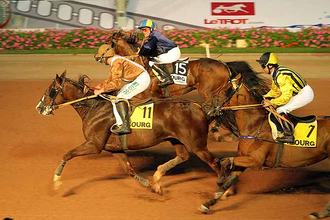 Arrivée quinté pmu PRIX FANDANGO à CABOURG