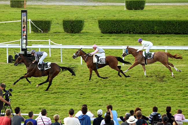 Arrivée quinté pmu PRIX DES PERVENCHES à CLAIREFONTAINE