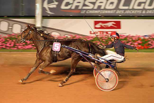 Arrivée quinté pmu PRIX DES AULNES à CABOURG