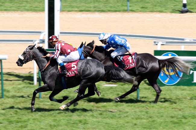 Arrivée quinté pmu PRIX MANGANATE à DEAUVILLE