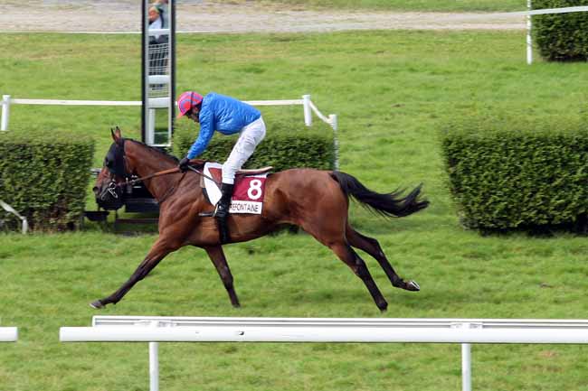 Arrivée quinté pmu PRIX DES HORTENSIAS à CLAIREFONTAINE