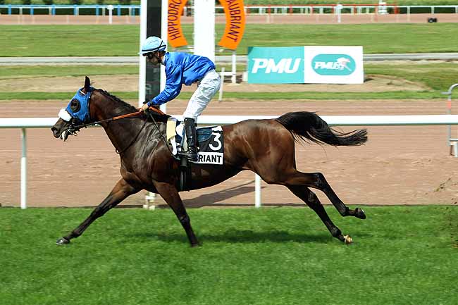 Arrivée quinté pmu PRIX DE LONGCHAMP à CHATEAUBRIANT