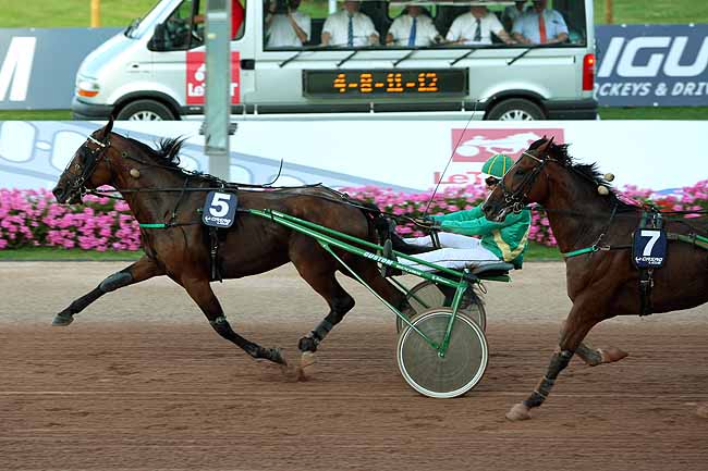 Arrivée quinté pmu PRIX DES CARDAMINES à CABOURG
