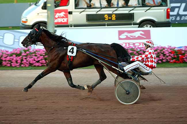 Arrivée quinté pmu PRIX DES CEDRES à CABOURG