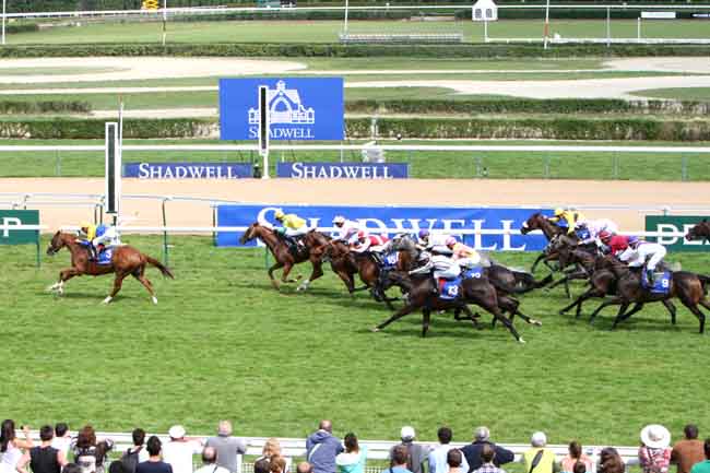 Arrivée quinté pmu GRAND HANDICAP DE LA MANCHE (ETALON MUHTATHIR) à DEAUVILLE