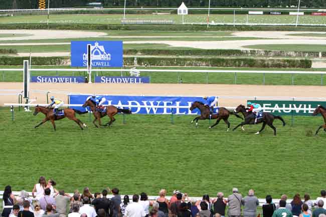 Arrivée quinté pmu PRIX DE TORTISAMBERT (ETALON MAWATHEEQ) à DEAUVILLE