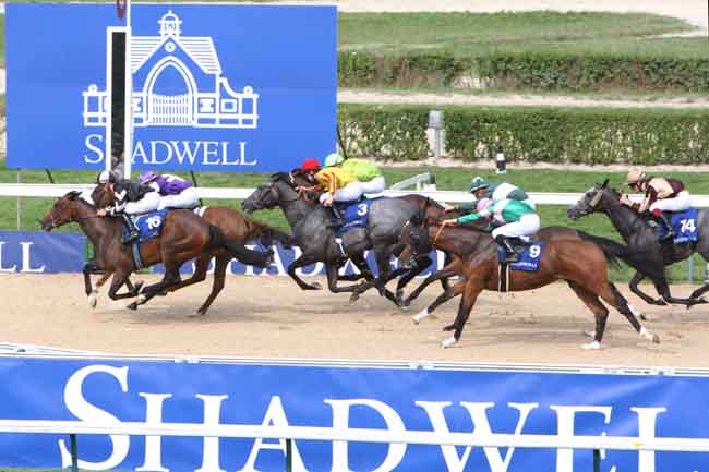 Arrivée quinté pmu PRIX DU MESNIL-GERMAIN (ETALON NAYEF) à DEAUVILLE