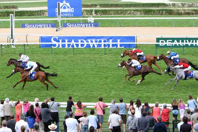 Arrivée quinté pmu PRIX DE BREVEDENT - ETALON AQLAAM à DEAUVILLE