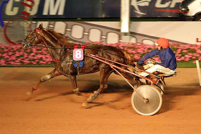 Arrivée quinté pmu PRIX DES DORONICS à CABOURG