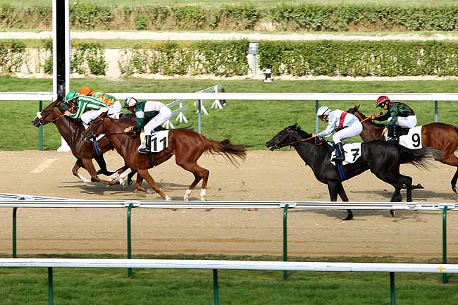 Arrivée quinté pmu PRIX DU HAMEL à DEAUVILLE