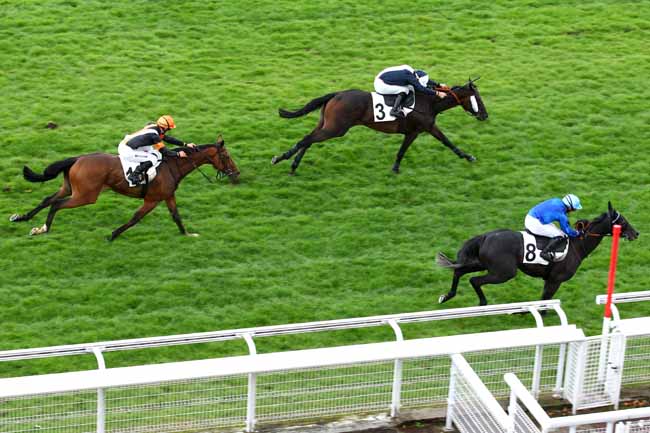 Arrivée quinté pmu PRIX MORTEMART à AUTEUIL