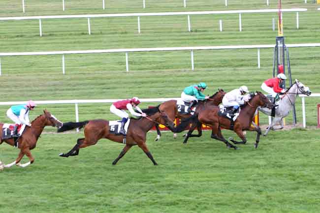 Arrivée quinté pmu PRIX DU LONG ROCHER à FONTAINEBLEAU