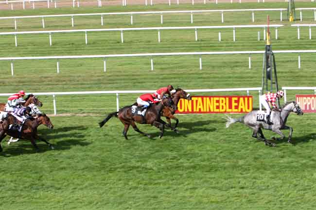 Arrivée quinté pmu PRIX PARIS-TURF à FONTAINEBLEAU