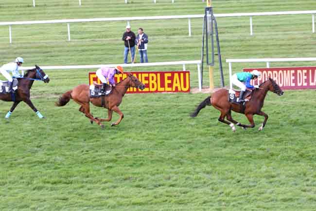 Arrivée quinté pmu GRAND PRIX DES CAVALIERES à FONTAINEBLEAU