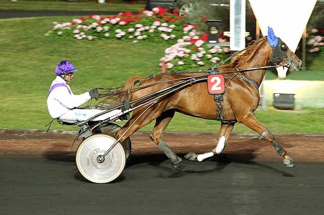 Arrivée quinté pmu PRIX ADARA à PARIS-VINCENNES