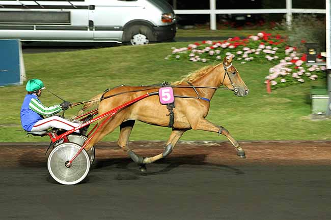 Arrivée quinté pmu PRIX GUERICKE à PARIS-VINCENNES