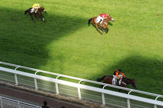 Arrivée quinté pmu PRIX PIERRE CYPRES à AUTEUIL