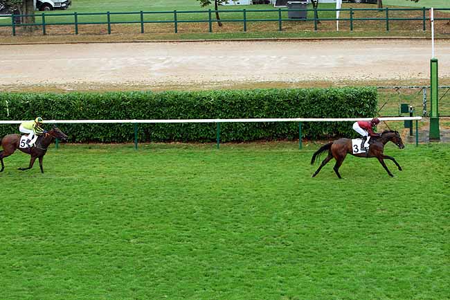 Arrivée quinté pmu PRIX D'ARENBERG à CHANTILLY