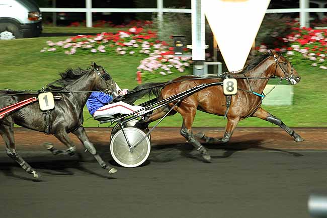 Arrivée quinté pmu PRIX ERATO à PARIS-VINCENNES