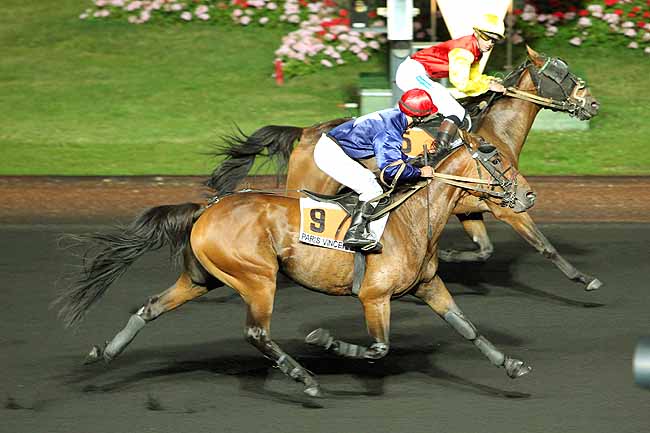 Arrivée quinté pmu PRIX MUSCA à PARIS-VINCENNES