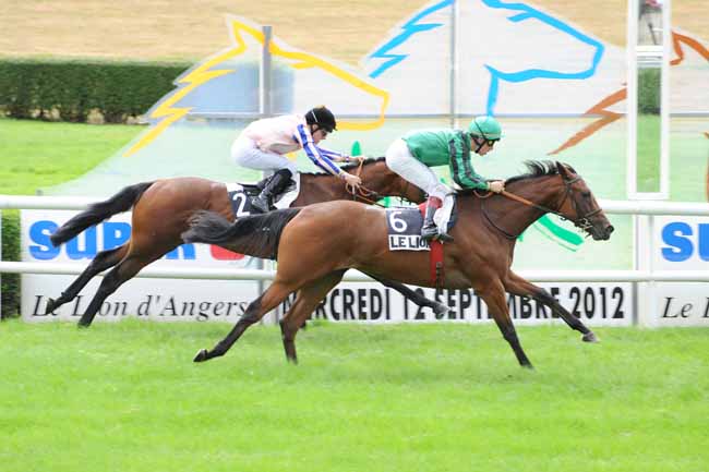 Arrivée quinté pmu PRIX DE CHATEAUNEUF-SUR-SARTHE à LE LION D'ANGERS