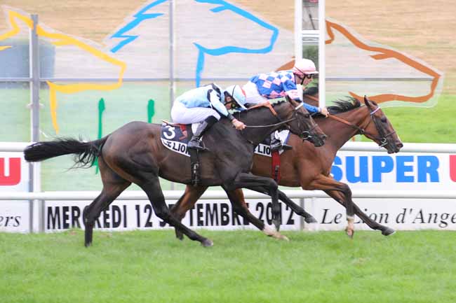 Arrivée quinté pmu PRIX PAUL SAULOU à LE LION D'ANGERS