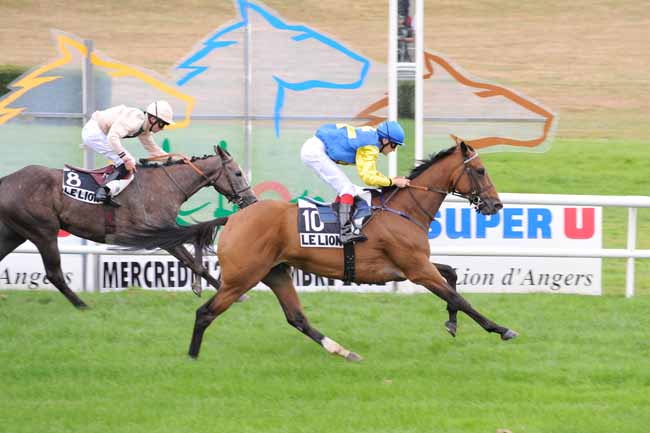Arrivée quinté pmu PRIX POINT BLEU à LE LION D'ANGERS
