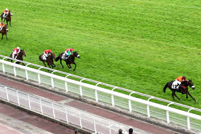 Arrivée quinté pmu PRIX FINOT (2E PELOTON) à AUTEUIL