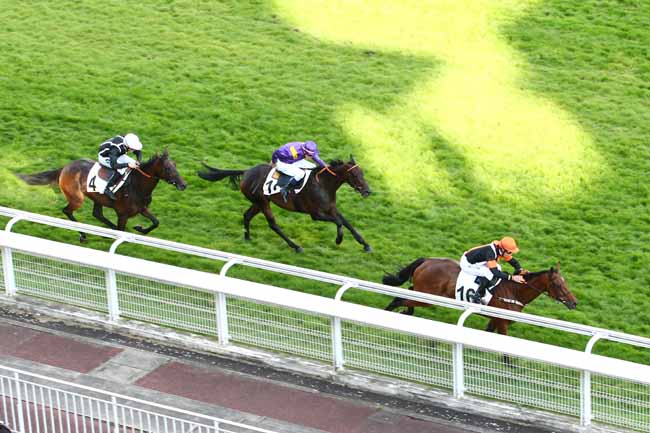 Arrivée quinté pmu PRIX CHAKHANSOOR à AUTEUIL