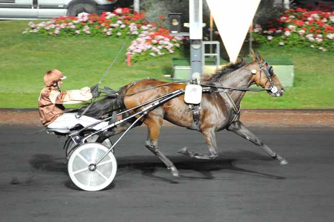 Arrivée quinté pmu PRIX ALHENA à PARIS-VINCENNES