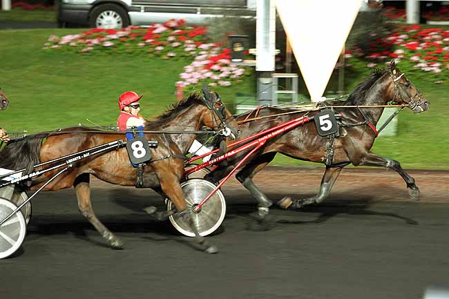 Arrivée quinté pmu PRIX AMPHITRITE à PARIS-VINCENNES