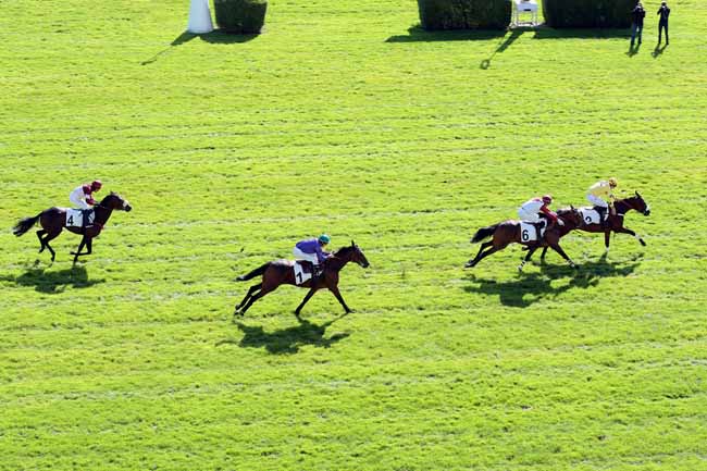 Arrivée quinté pmu PRIX DE CHAMBLY à AUTEUIL