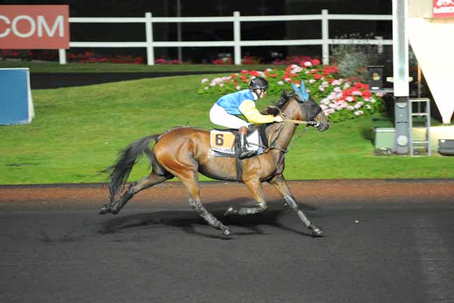 Arrivée quinté pmu PRIX ANTIOPE à PARIS-VINCENNES