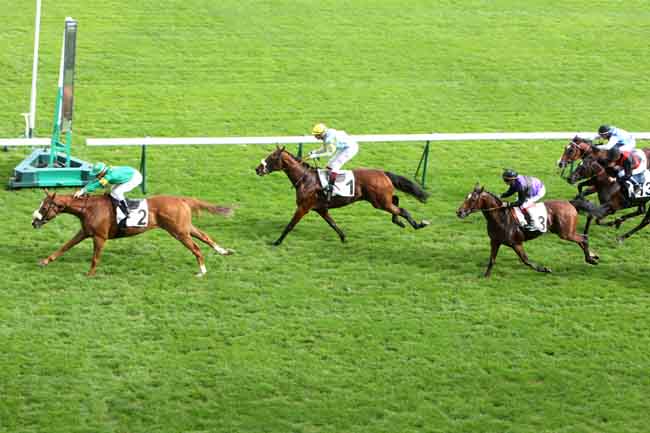 Arrivée quinté pmu PRIX DES ETANGS à LONGCHAMP