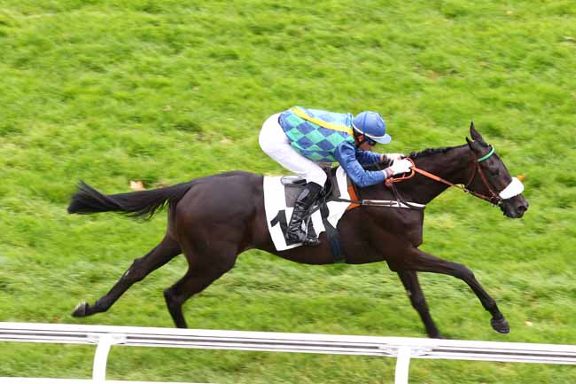 Arrivée quinté pmu PRIX ISOPANI à AUTEUIL