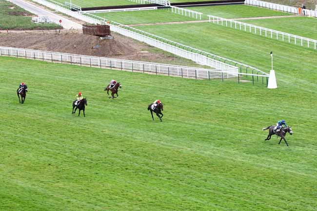 Arrivée quinté pmu PRIX FEZENSAC à AUTEUIL