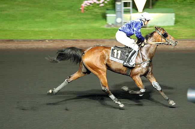 Arrivée quinté pmu PRIX CRUCIS à PARIS-VINCENNES
