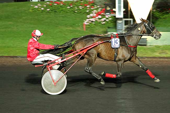 Arrivée quinté pmu PRIX AUSTRIA à PARIS-VINCENNES