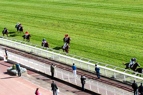 Arrivée quinté pmu PRIX PRIDE OF KILDARE à AUTEUIL