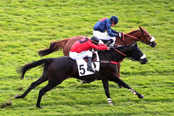 Arrivée quinté pmu PRIX FERDINAND RIANT à AUTEUIL