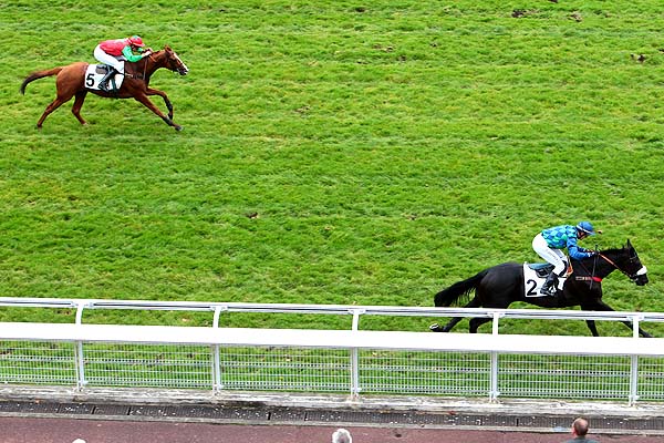 Arrivée quinté pmu PRIX DE MAISONS-LAFFITTE à AUTEUIL