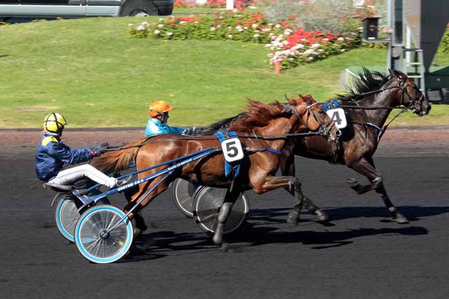 Arrivée quinté pmu PRIX DE PERPIGNAN à PARIS-VINCENNES