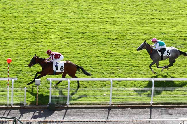 Arrivée quinté pmu PRIX SILVER SHARK à MAISONS-LAFFITTE