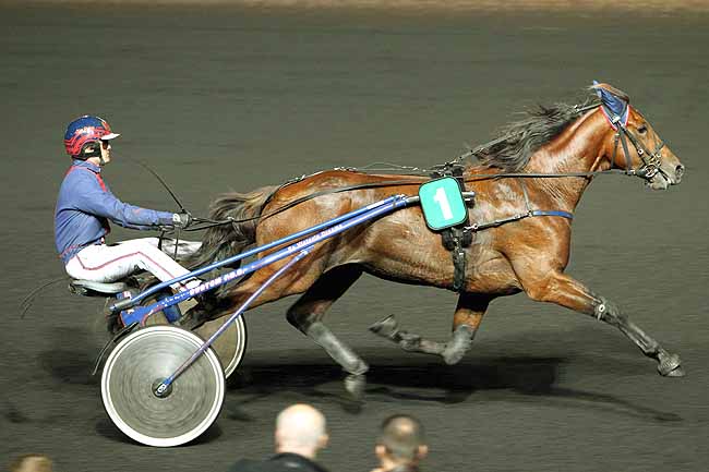Arrivée quinté pmu PRIX CHRYSEIS à PARIS-VINCENNES
